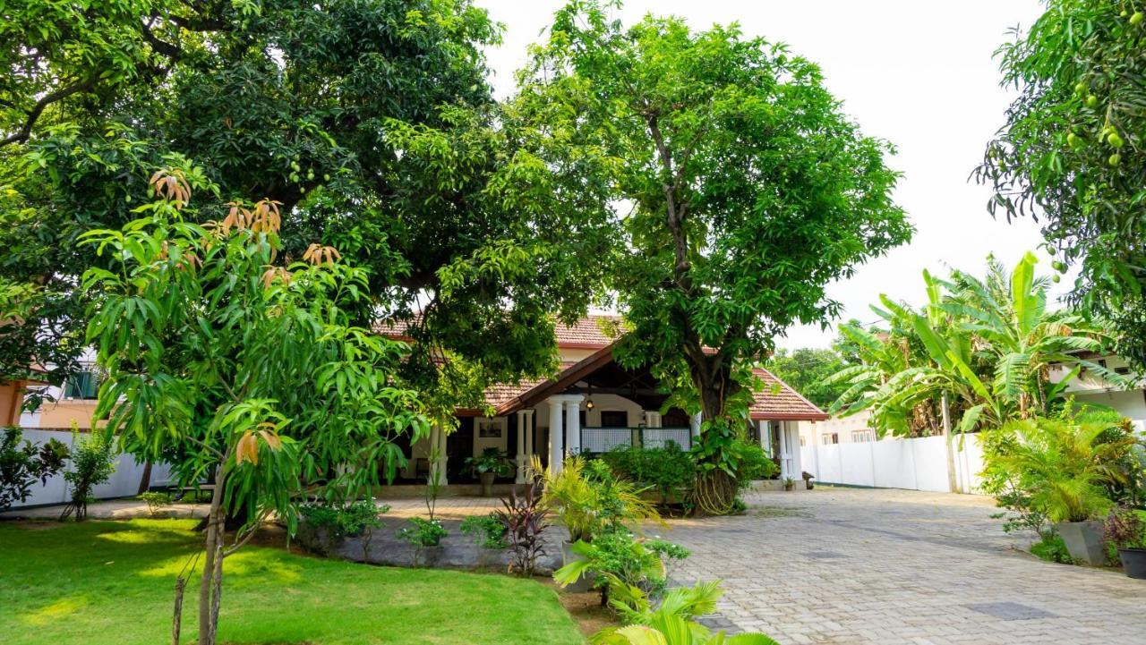 Flamingo Villa Jaffna Dış mekan fotoğraf