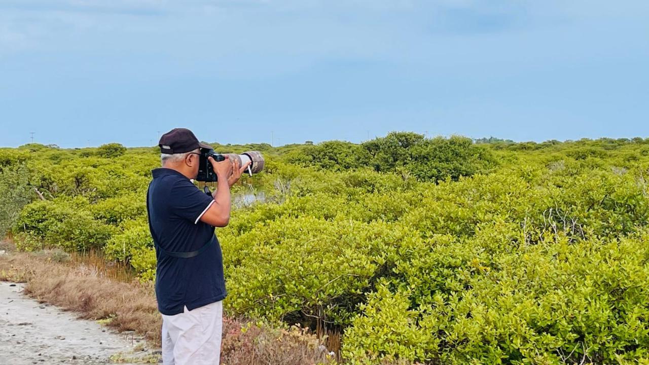 Flamingo Villa Jaffna Dış mekan fotoğraf